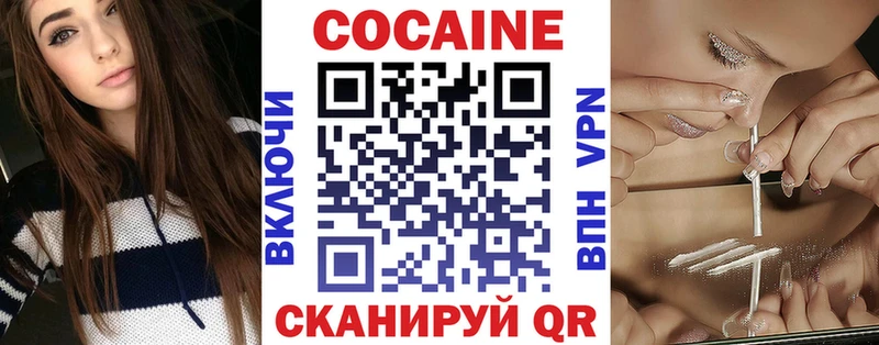 Купить закладки  Карачев  Cocaine Fish Scale 