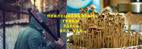 гидра Заволжье