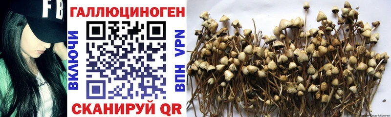 Галлюциногенные грибы мухоморы  Купить  Карачев 